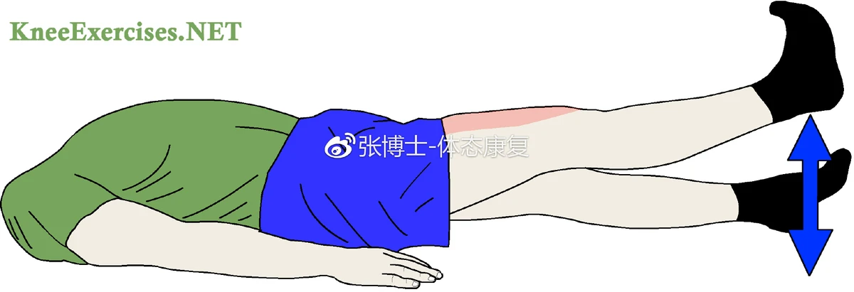 如何为篮球教练提供持续的专业辅导_0